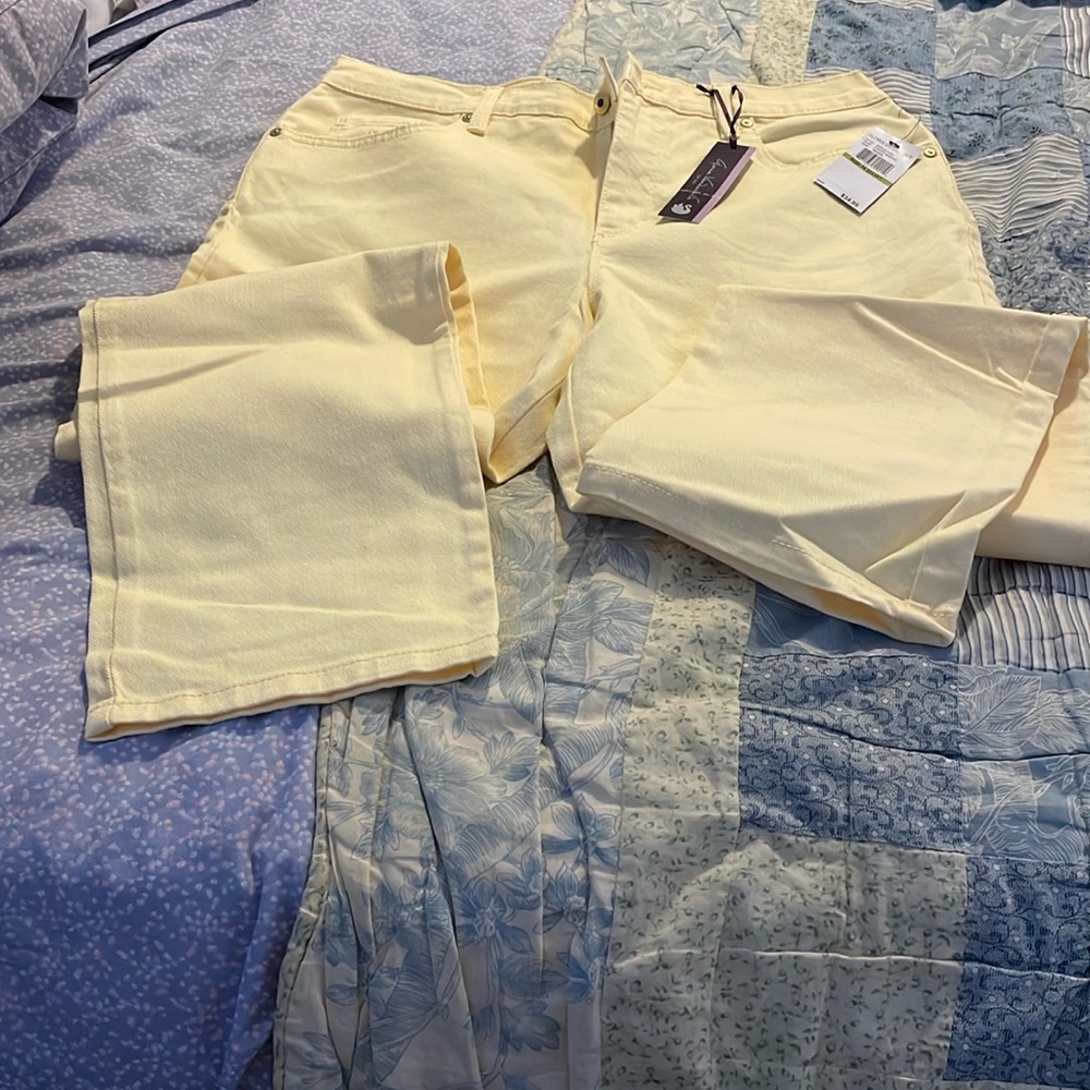 Woman’s Gloria Vanderbilt Amanda jean